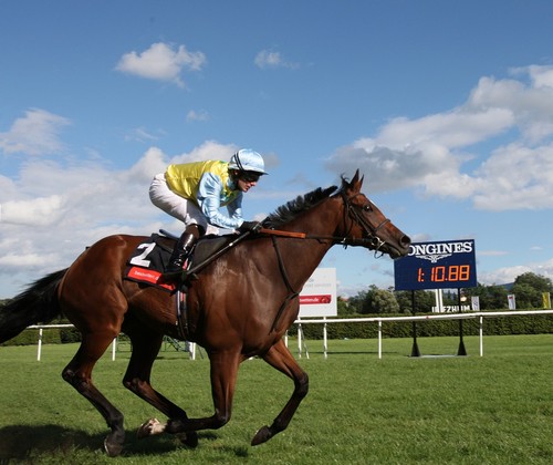 Feed for racehorses