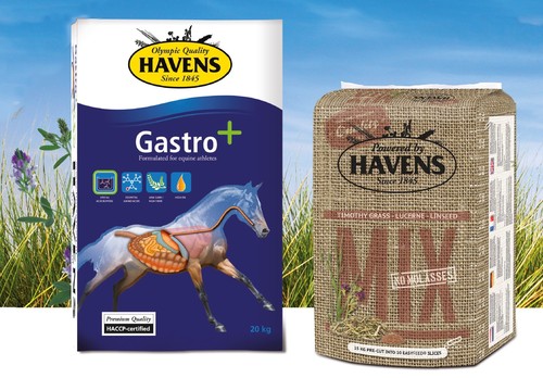 Feed for racehorses