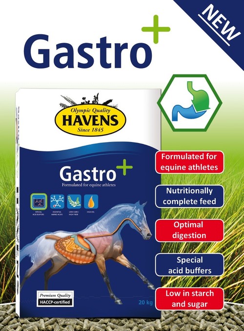 Gastro+ for an optimal digestion