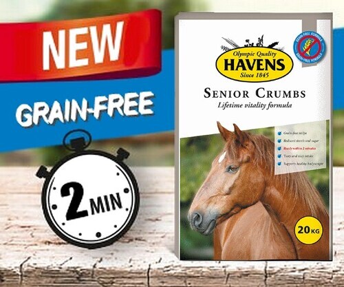 NEW: Senior Crumbs
